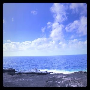 Meet your Posher, Erika